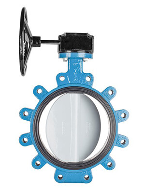 resilient seated butterfly valves